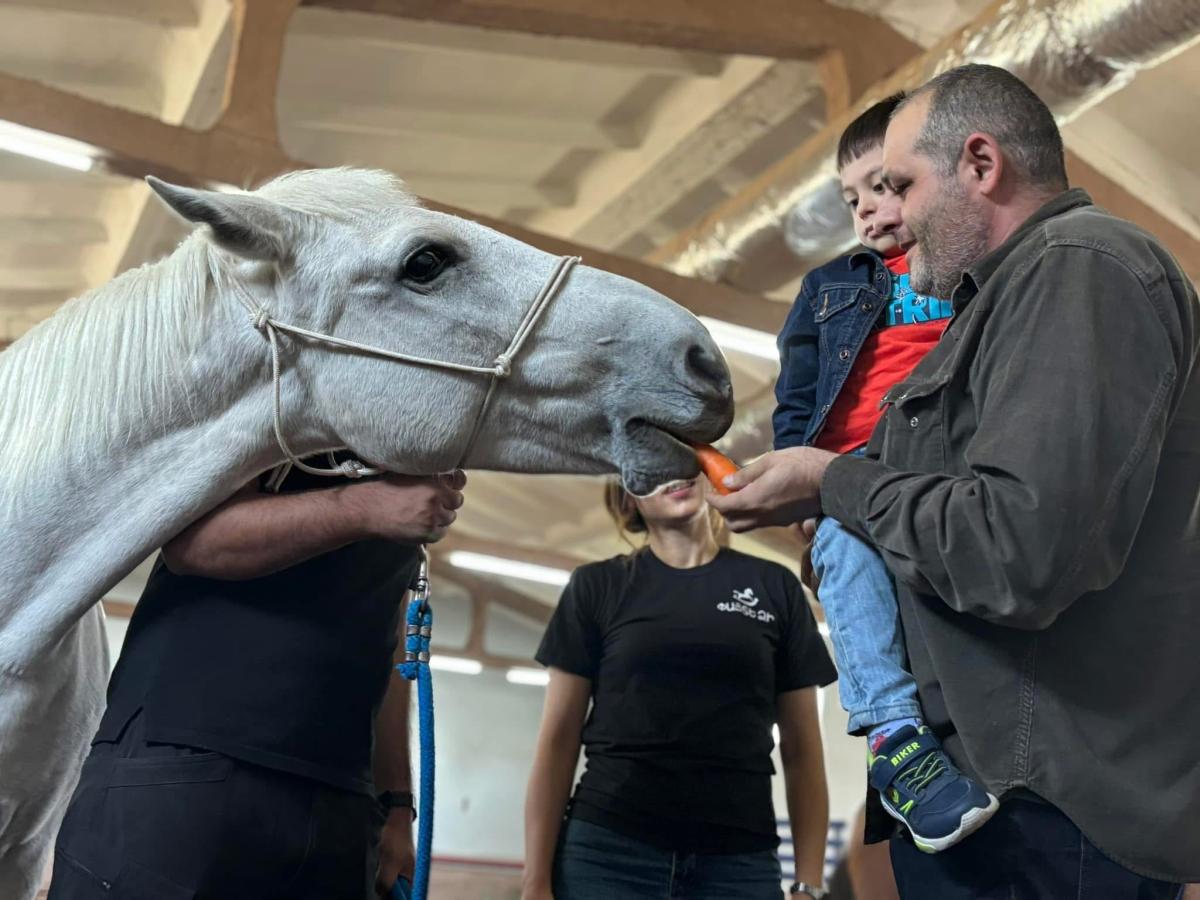 հիպոթերապիա