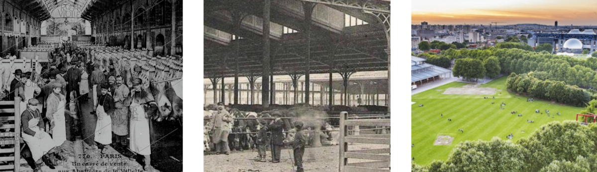 կանաչապատում