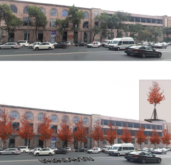 կանաչապատում