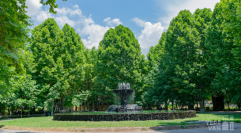 կանաչապատում